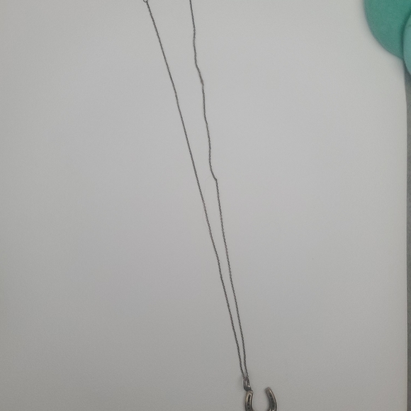 T&Co Horseshoe Pendant Necklace - Picture 2 of 3